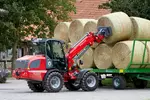 Weidemann attachment Bale spear, in action agriculture, Telescopic wheel loader 5080T