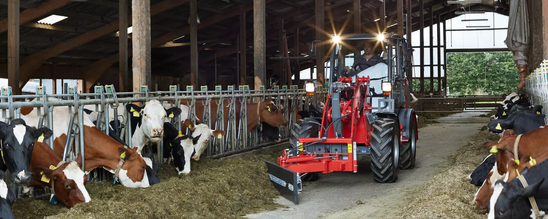 Weidemann wheel loader 3080 cabin with hydraulically activated feed slide plate in action