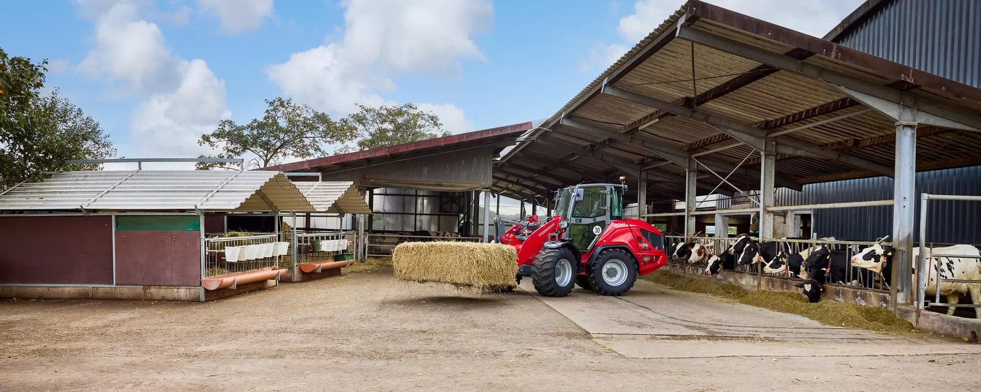 Weidemann Radlader 3060 mit Kabine im Einsatz, Landwirtschaft