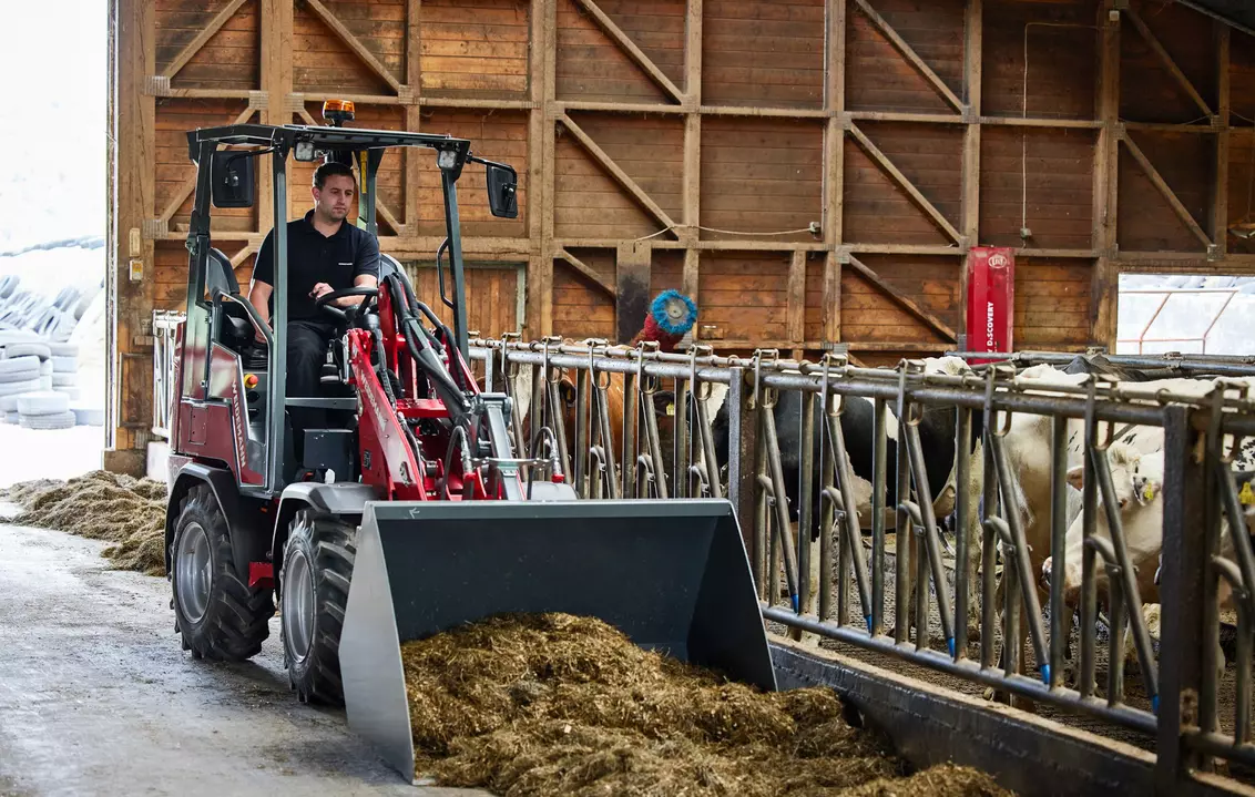 Weidemann Anbaugerät Leichtgutschaufel eckig, Einsatz Landwirtschaft, Hoftrac 1190e