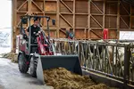 Weidemann Anbaugerät Leichtgutschaufel eckig, Einsatz Landwirtschaft, Hoftrac 1190e