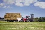 Weidemann telehandler T7042 with bale gripper, application