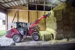 Weidemann telescopic wheel loader 2060T cabin with bale spike, application