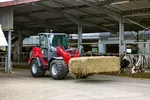 Weidemann Radlader 3060 im Einsatz, Landwirtschaft