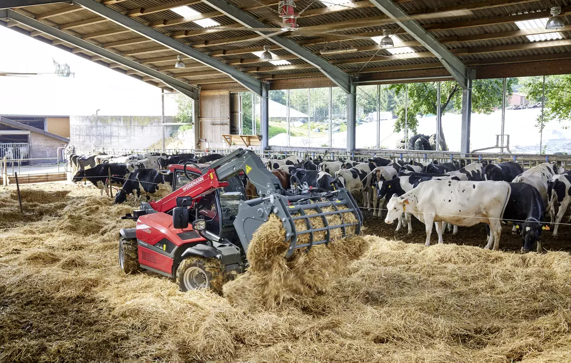 Weidemann T4512e telehandler with gripping bucket in use on a farm