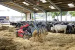 Weidemann T4512e telehandler with gripping bucket in use on a farm