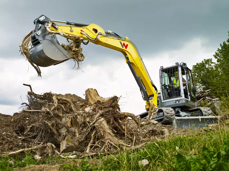 Rootstocks are dug out in the filed with the ET90