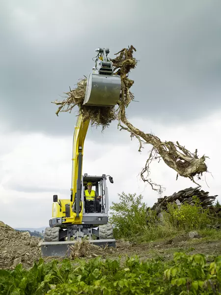 Even large rootstocks can be transported with the ET90