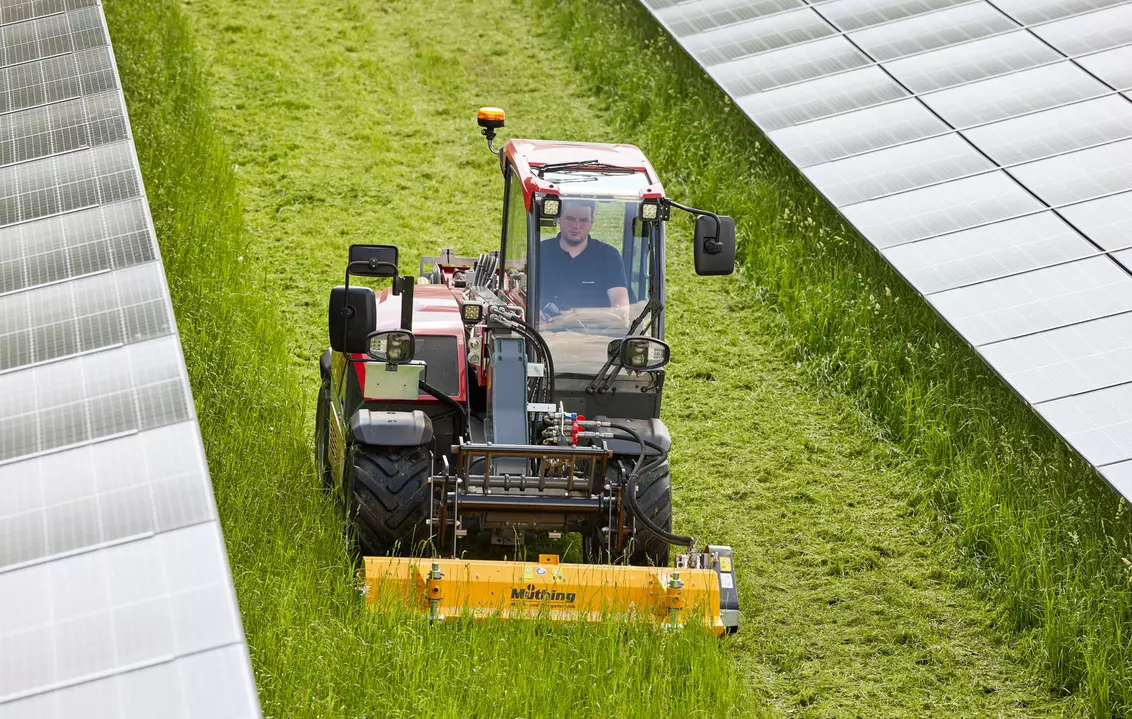 Weidemann attachment Flail mower, in action industry, Telehandler T4512