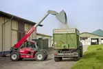Weidemann telehandler T7035 with cargo bucket, application