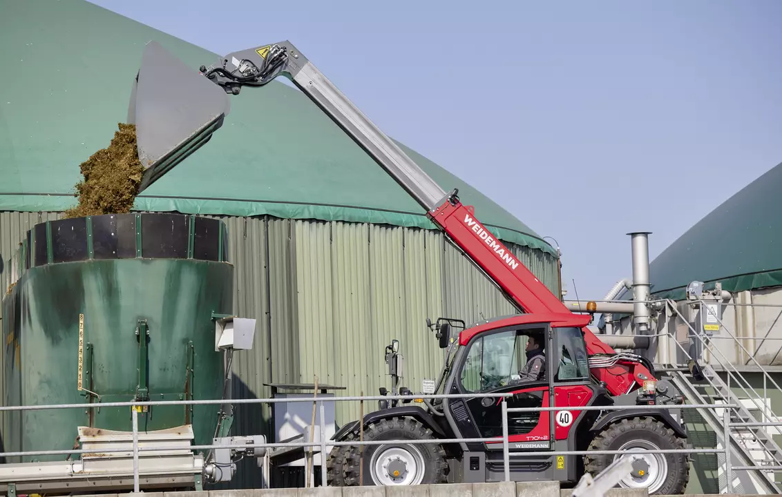 Weidemann telehandler T7042 with cargo bucket, application
