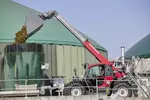 Weidemann telehandler T7042 with cargo bucket, application