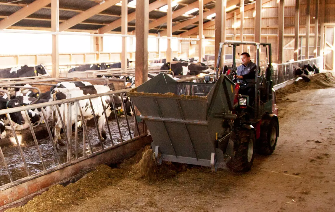 Weidemann attachment Feed distributor, in action agriculture