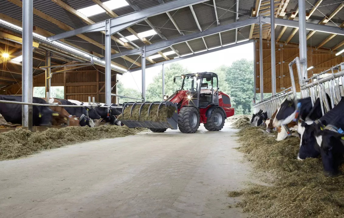 Weidemann telescopic wheel loader 5080T cabin with power grab bucket, application