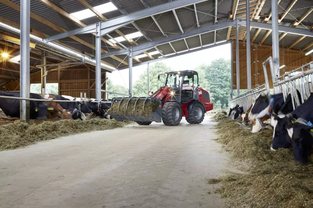 Weidemann telescopic wheel loader 5080T cabin with power grab bucket, application